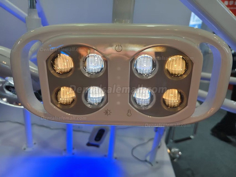 Dental Chair Light Infrared Inductive Oral Lamp 8 LEDs 10W 2 Color Adjustable